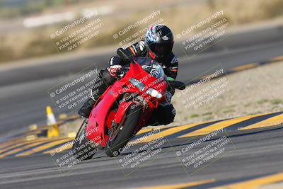 media/Oct-05-2024-Race Pace (Sat) [[aa7b44e117]]/2-Turn 11 (815am)/